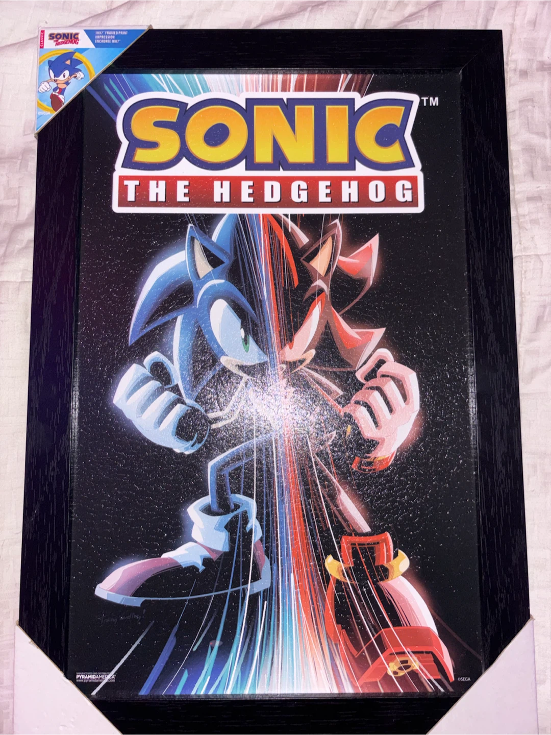 Sonic the Hedgehog Framed Print