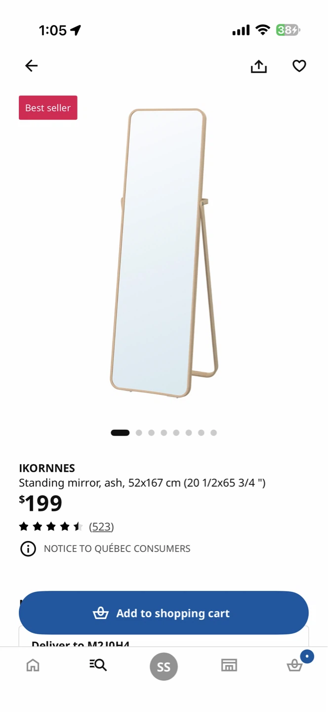 Ikea IKORNNES Standing Mirror - photo 2