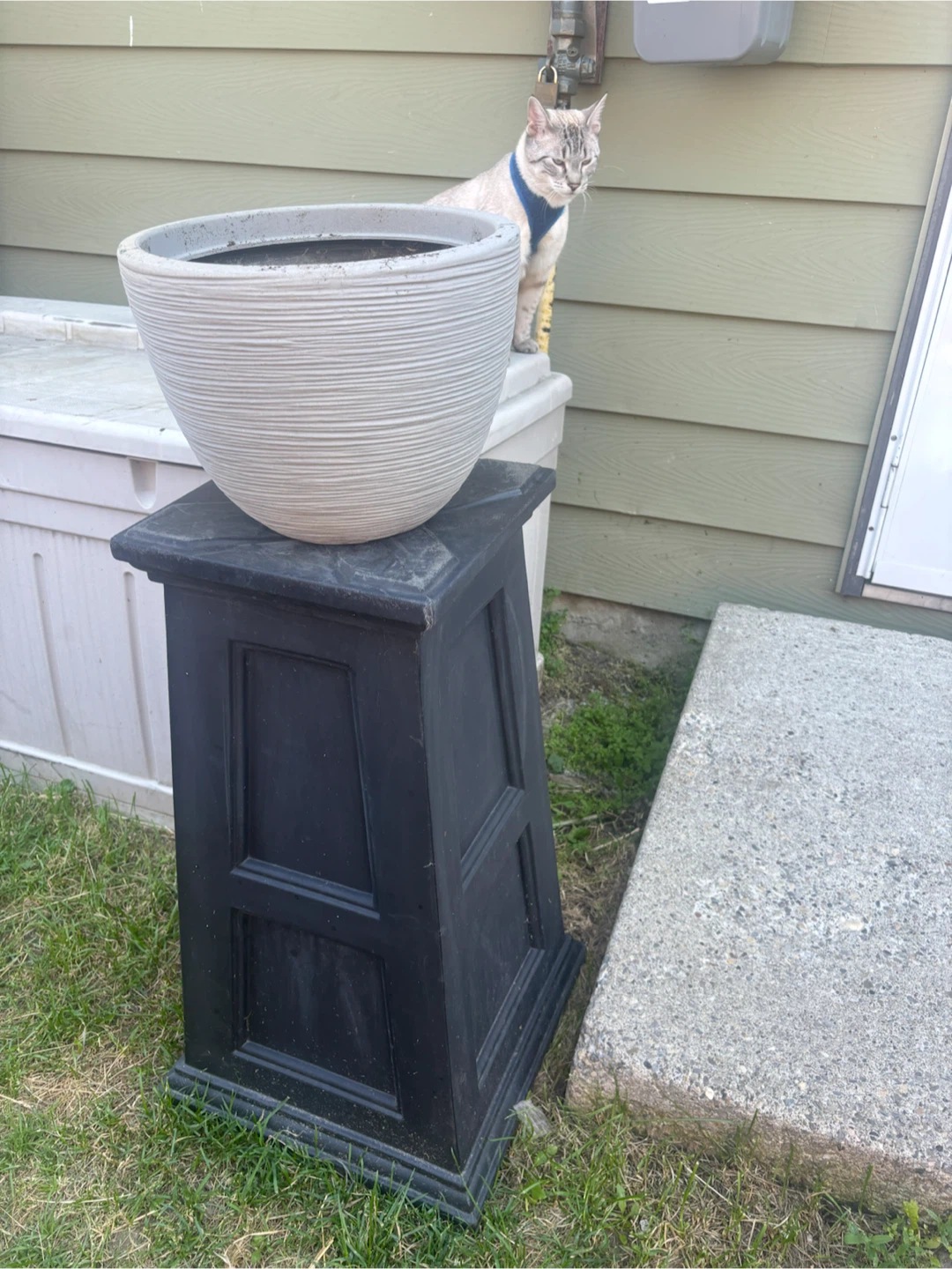 Textured Round Planter Pot with stands