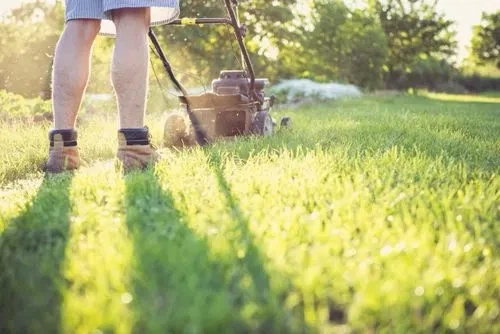 🌿🐶 Reliable Summer Lawn Care & Pet Services — Calgary 🐶🌿