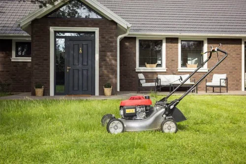 🌿🐶 Reliable Summer Lawn Care & Pet Services — Calgary 🐶🌿 - photo 2