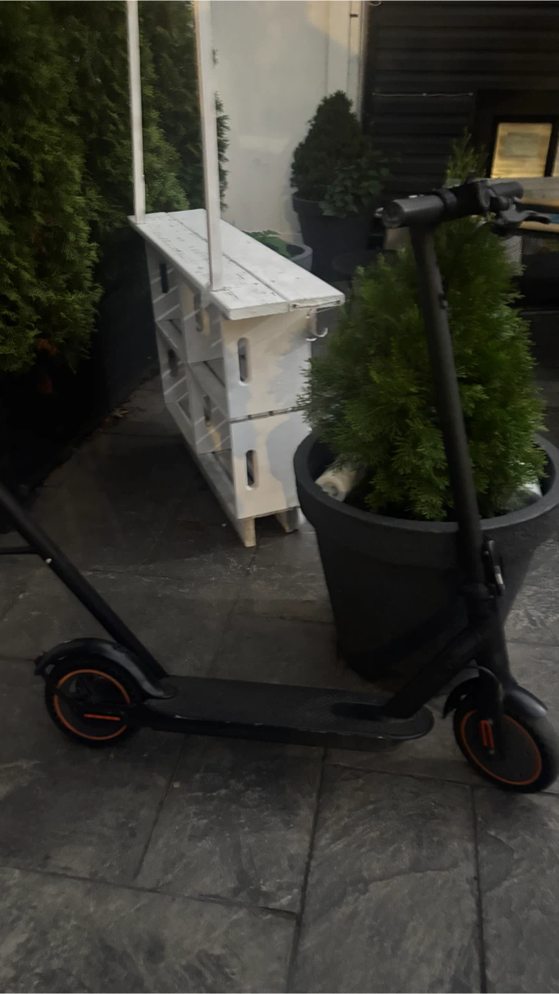 Segway Ninebot Electric Scooter - photo 2