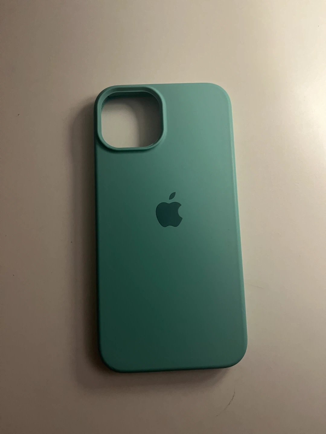 Apple iPhone Case - Teal