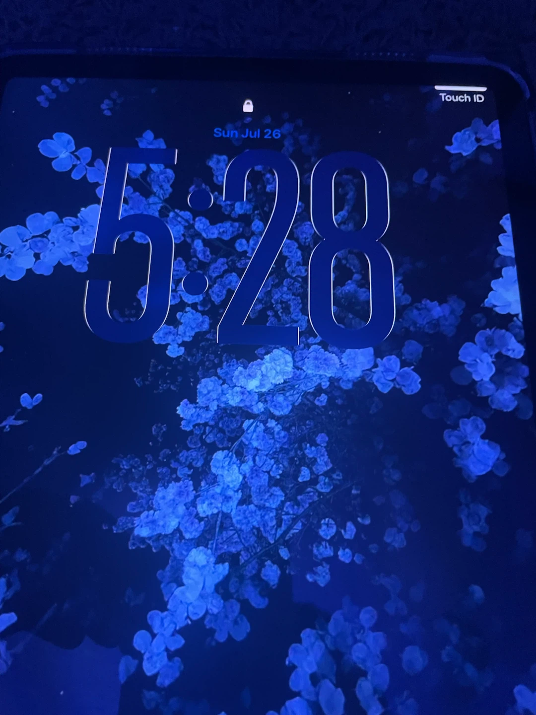 Apple iPad - photo 2