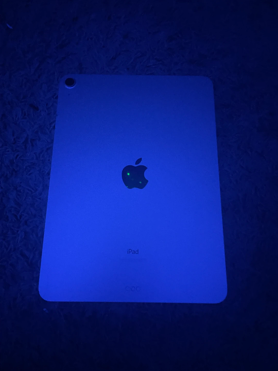 Apple iPad - photo 4
