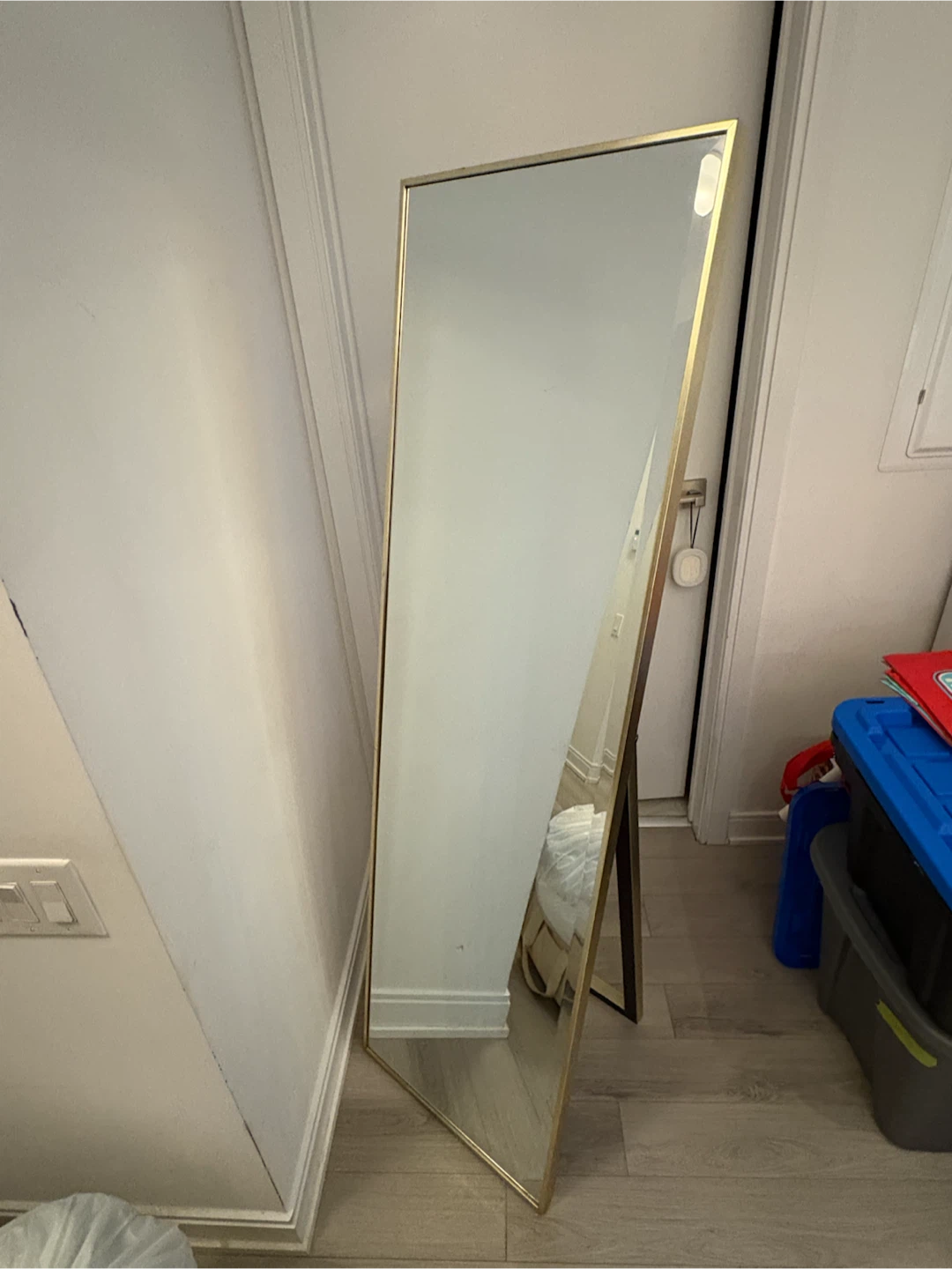 Full Length Gold Framed Floor Mirror