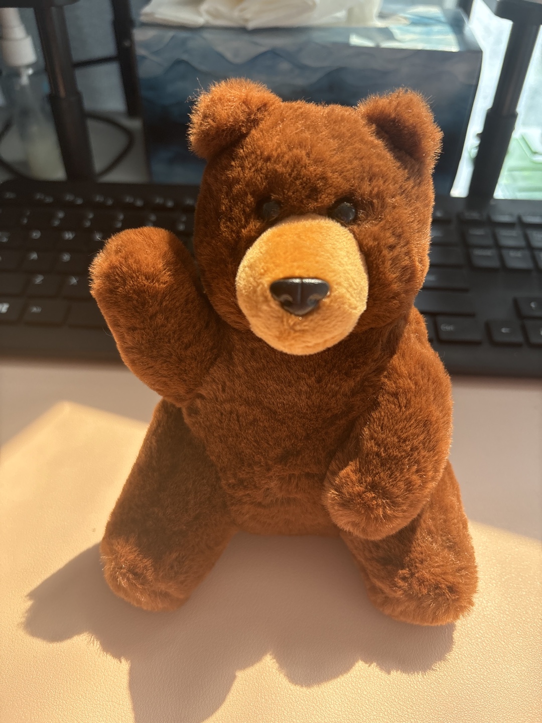 Plush Brown Teddy Bear