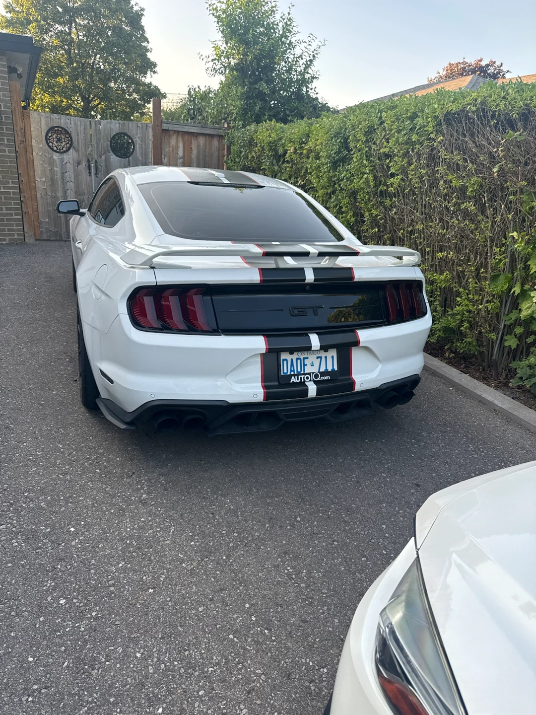 Ford Mustang GT 2019 - photo 2
