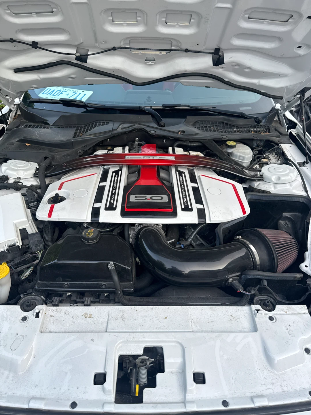 Ford Mustang GT 2019 - photo 5