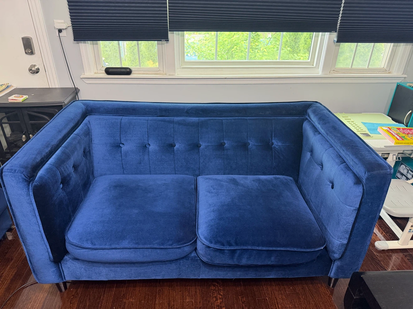 Blue Velvet Loveseat - photo 5