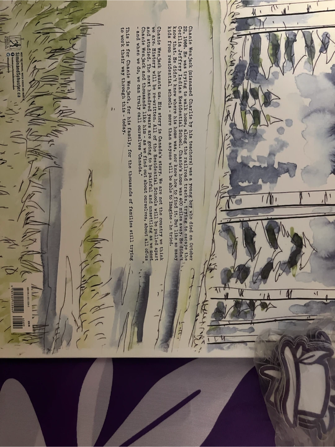 Secret Path by Gord Downie & Jeff Lemire - photo 2