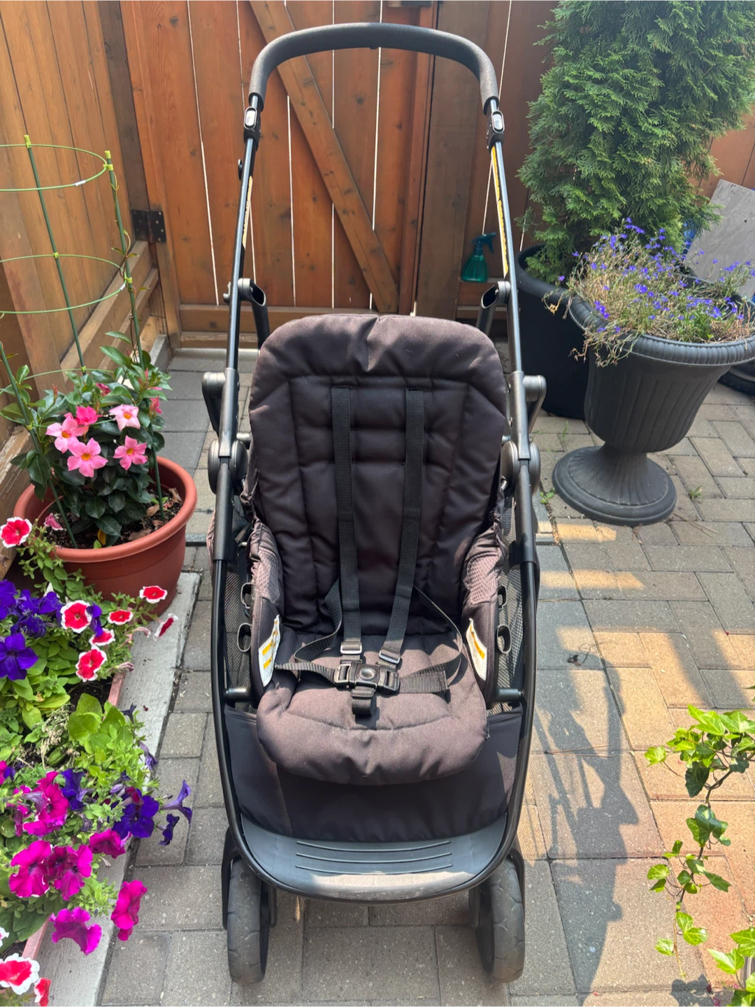 Graco Double Stroller