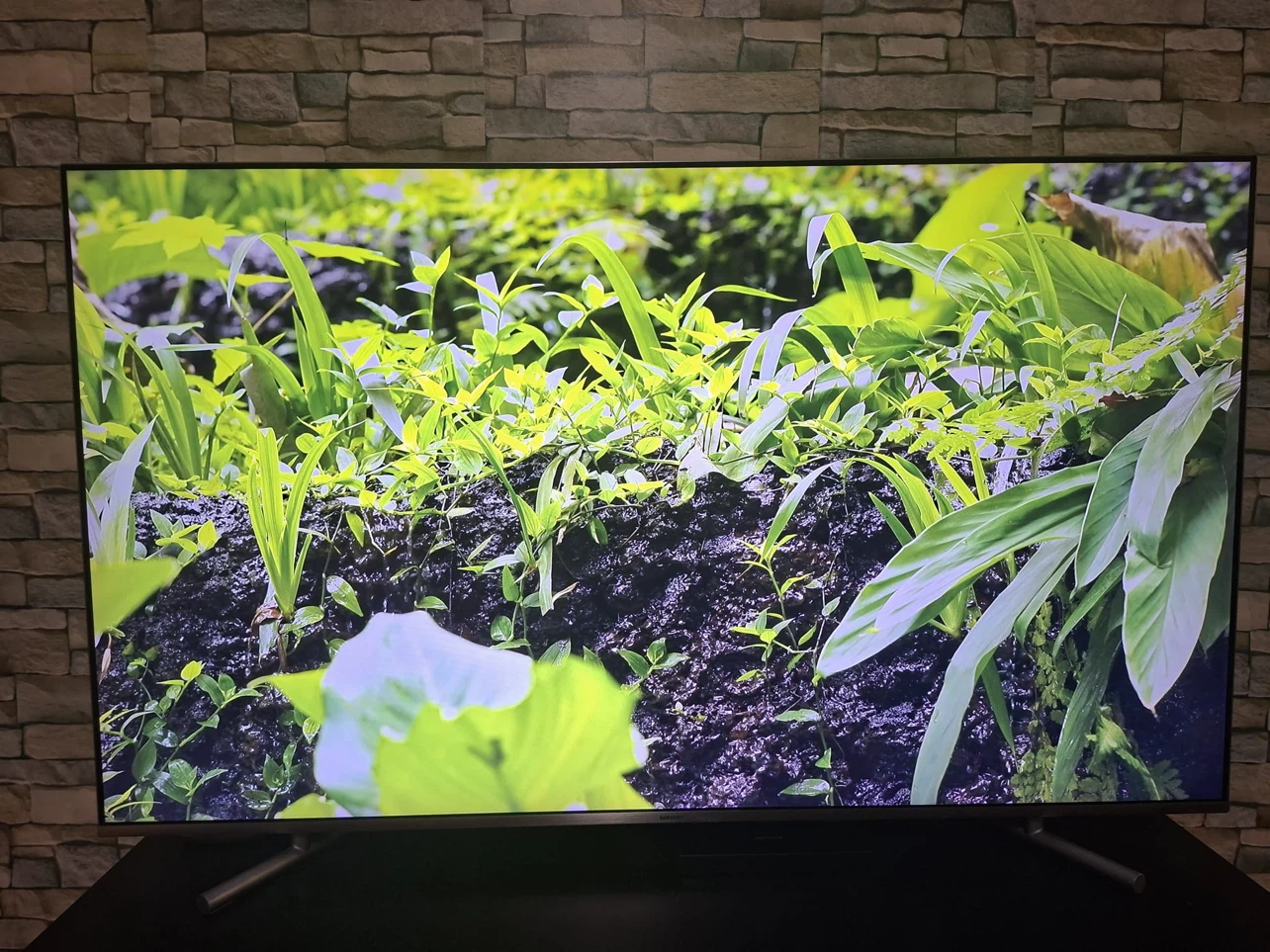 Samsung QN55Q6FAM 55" QLED 4K Smart TV - photo 4