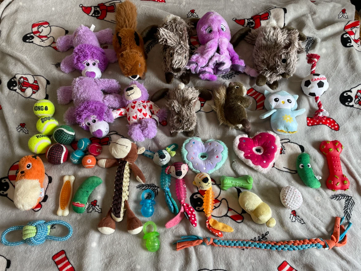 38pc Huge Dog Toys Lot