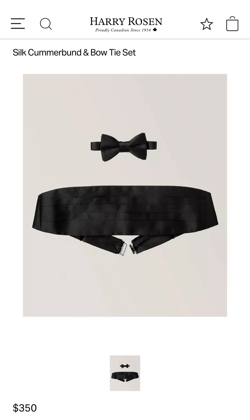 NEW Black Silk Cummerbund and Bow Tie Set - photo 3