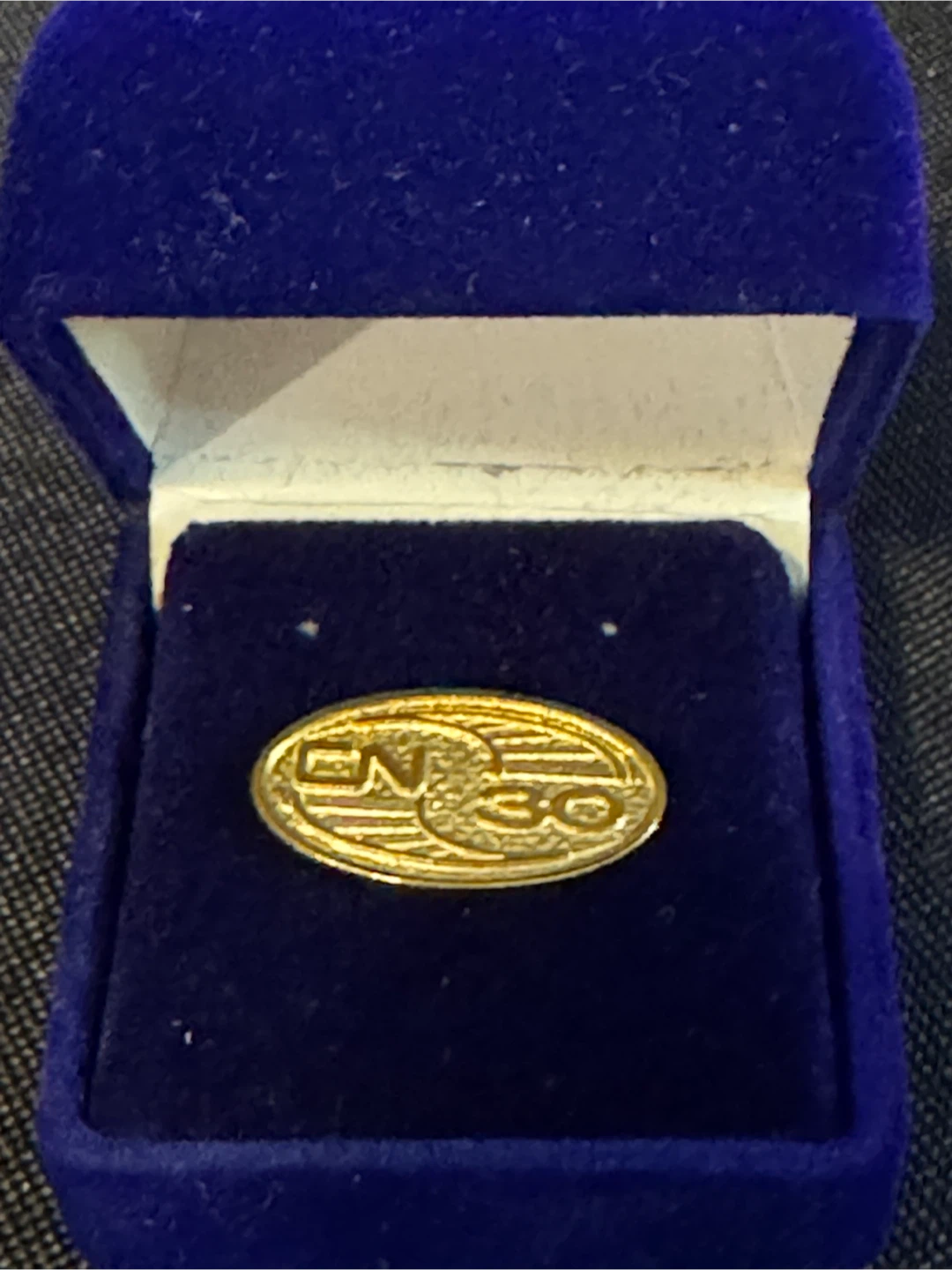 Canadian National Railway (CN) Lapel Pin