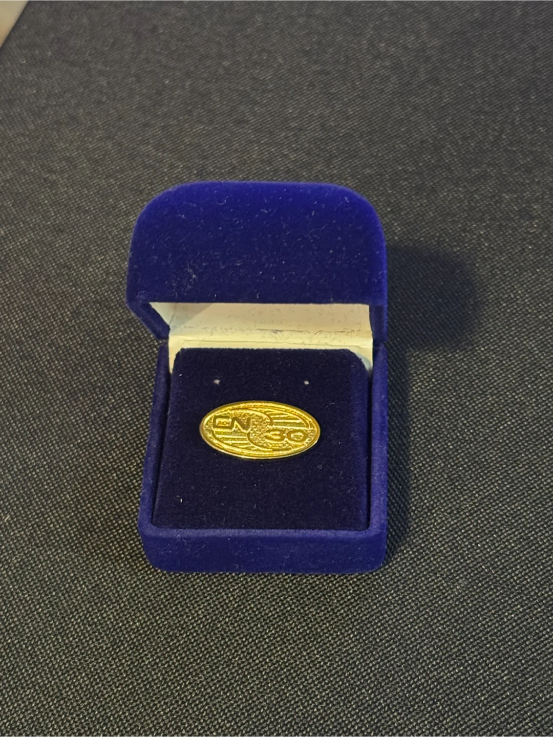 Canadian National Railway (CN) Lapel Pin - photo 2