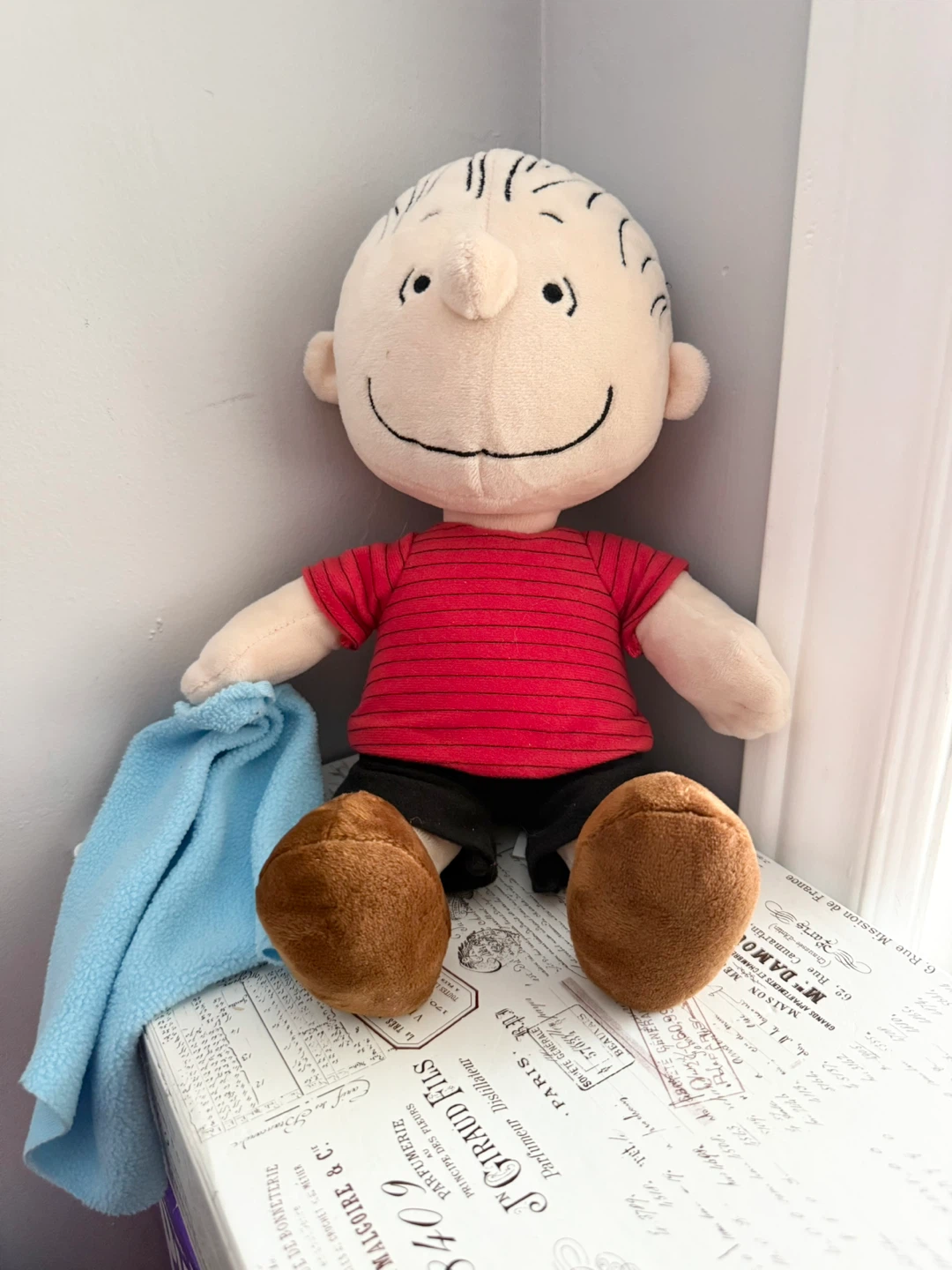 Peanuts Charlie Brown Plush Toy
