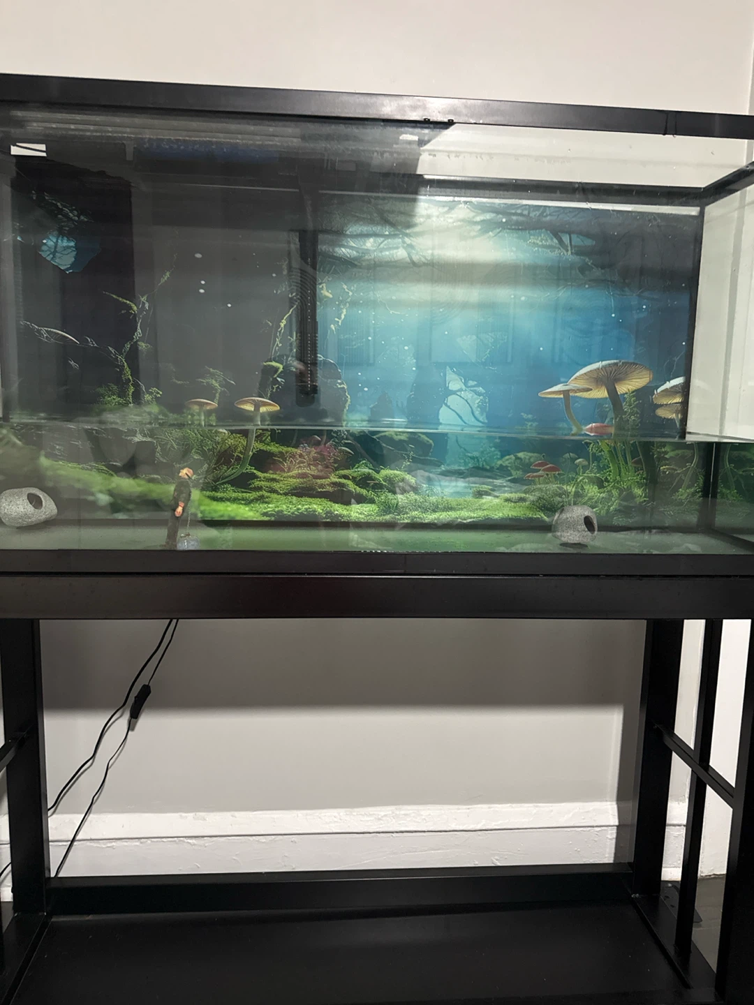 55 gallon fish tank