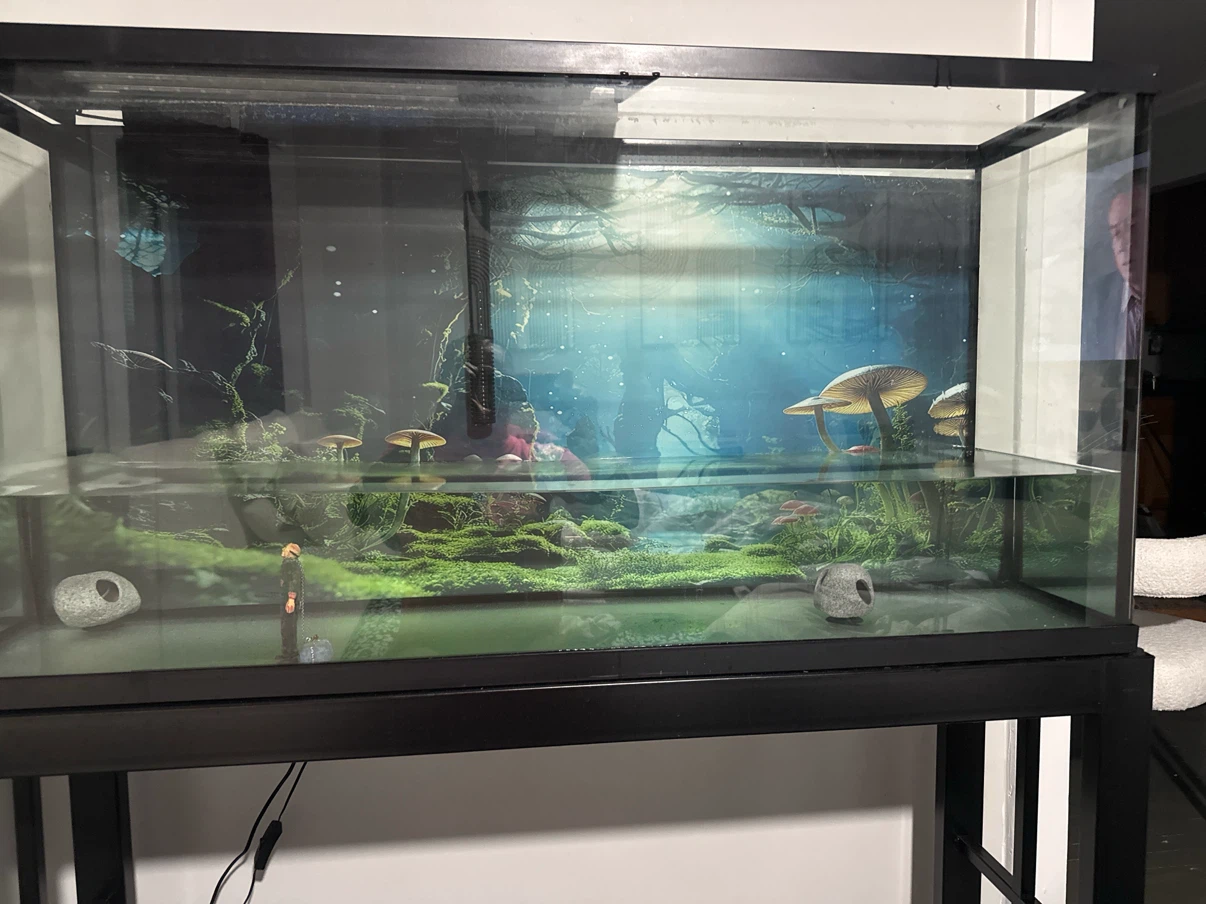 55 gallon fish tank - photo 2