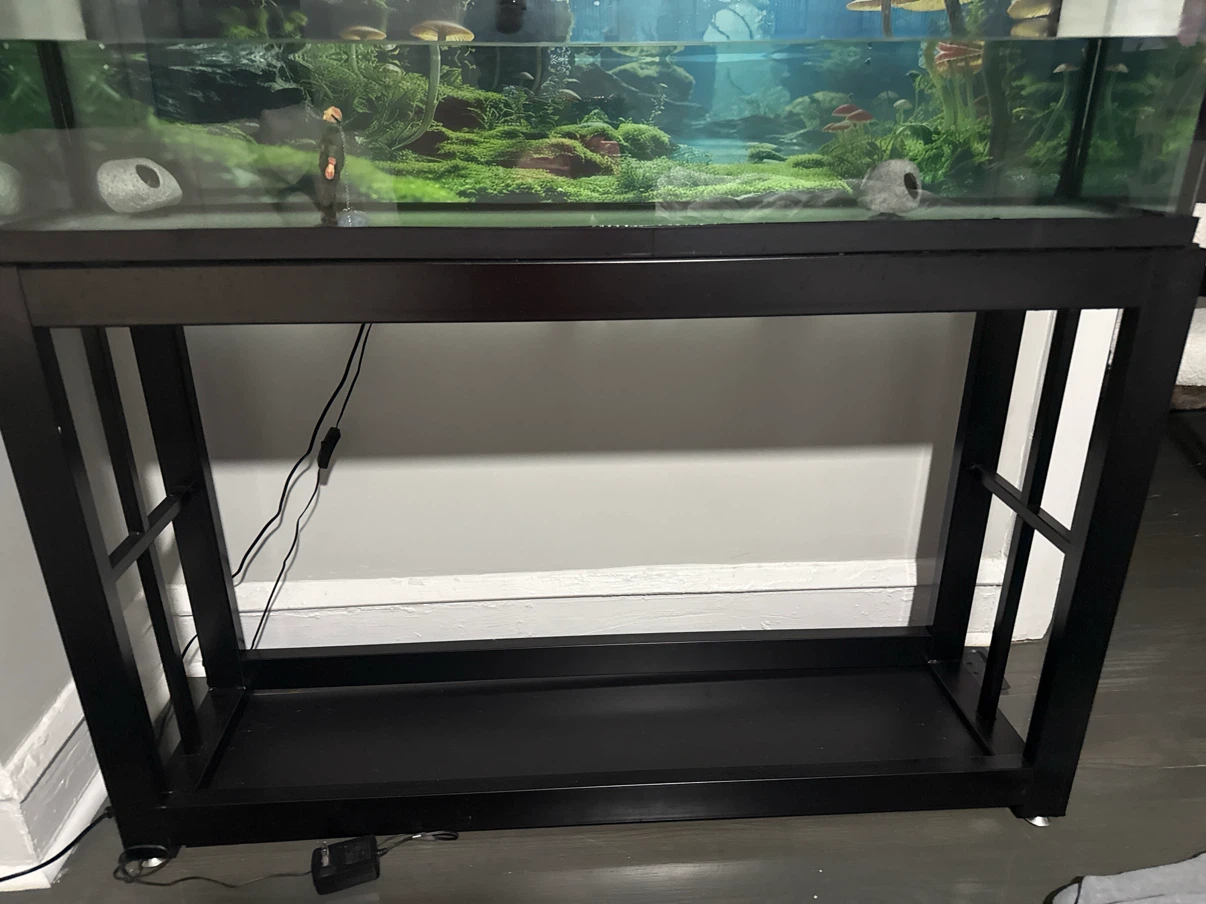 55 gallon fish tank - photo 3
