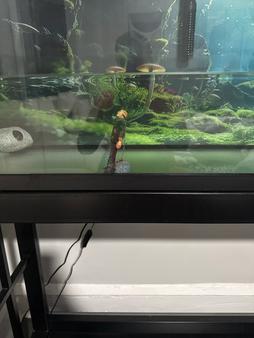55 gallon fish tank - photo 4