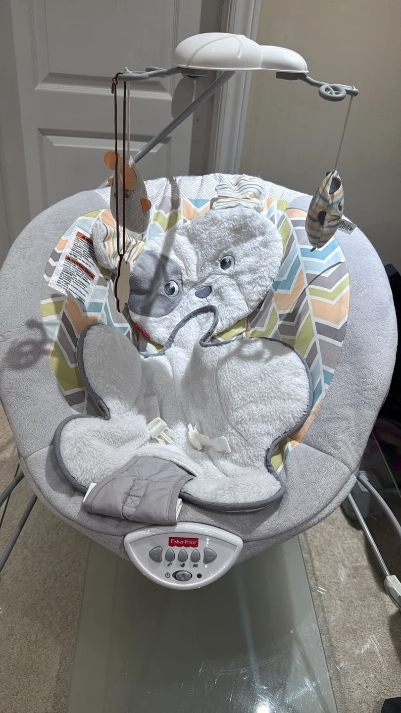 Fisher-Price Baby Bouncer