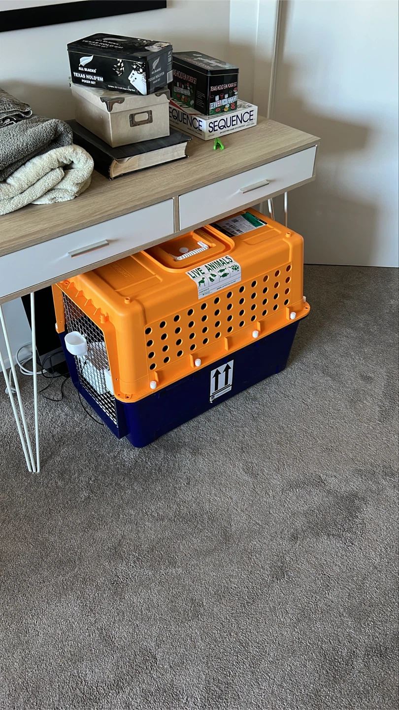 28” Hard Sided Airline Travel Crate (PP40 / Medium)