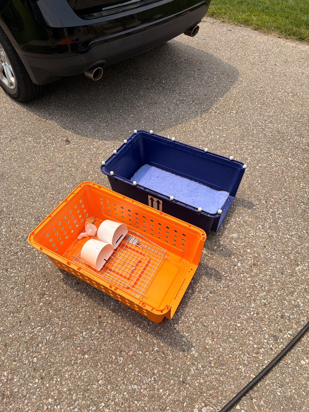 28” Hard Sided Airline Travel Crate (PP40 / Medium) - photo 4