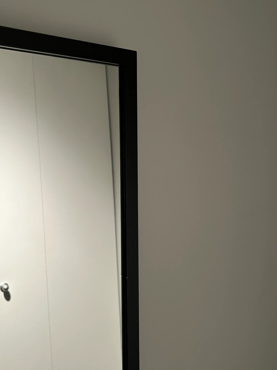 Full Length Wide Floor Mirror - photo 3