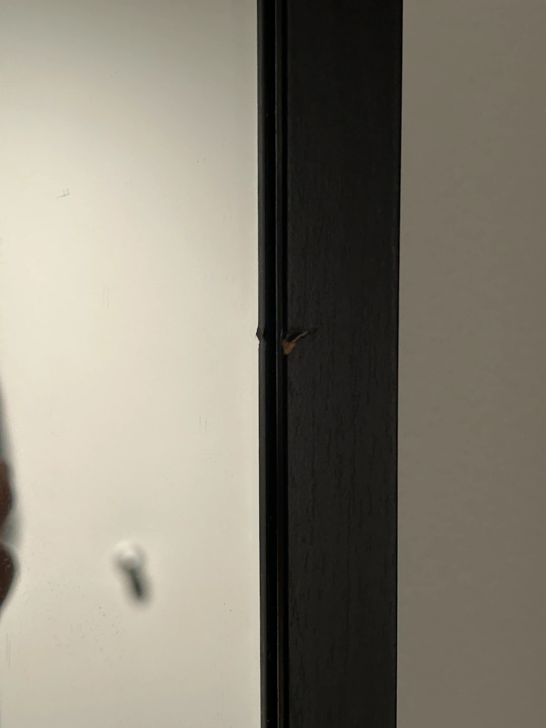 Full Length Wide Floor Mirror - photo 4