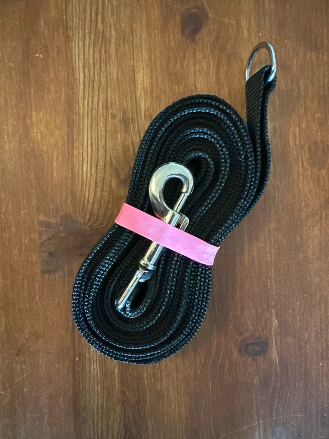 12' dog training leash