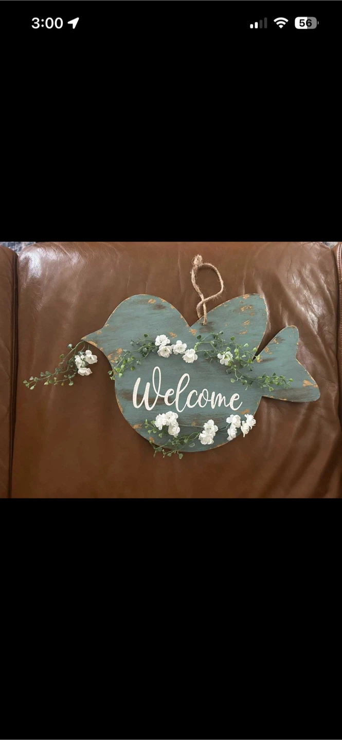 Hand painted wood bird door sign