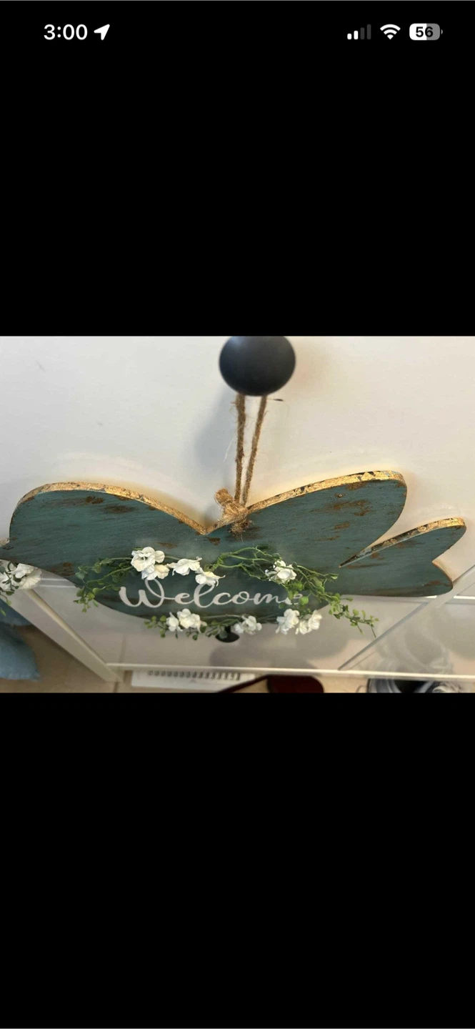 Hand painted wood bird door sign - photo 3