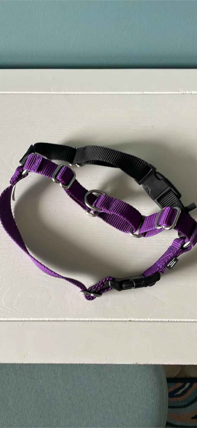 Dog Harness - S/M - photo 4