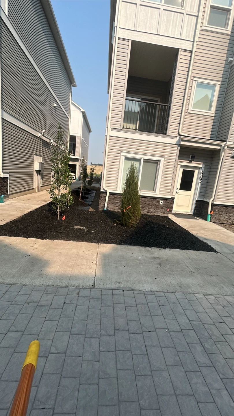 Fresh Black Mulch for Landscaping