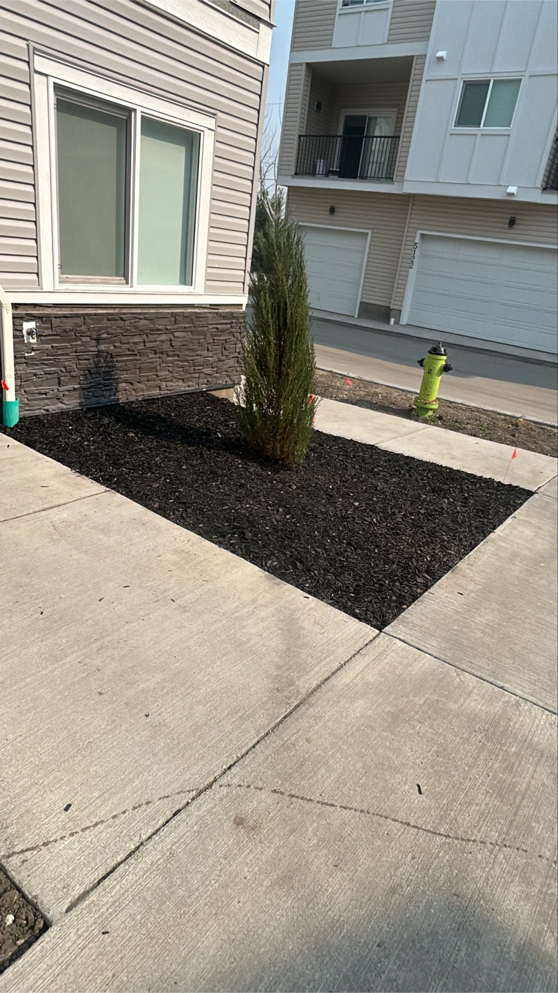 Fresh Black Mulch for Landscaping - photo 3