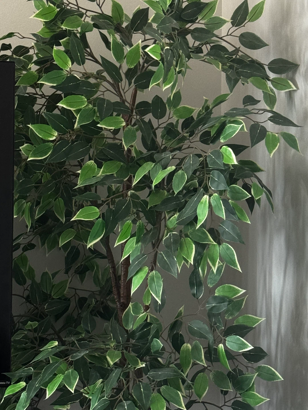 Artificial potted plant, Weeping fig,