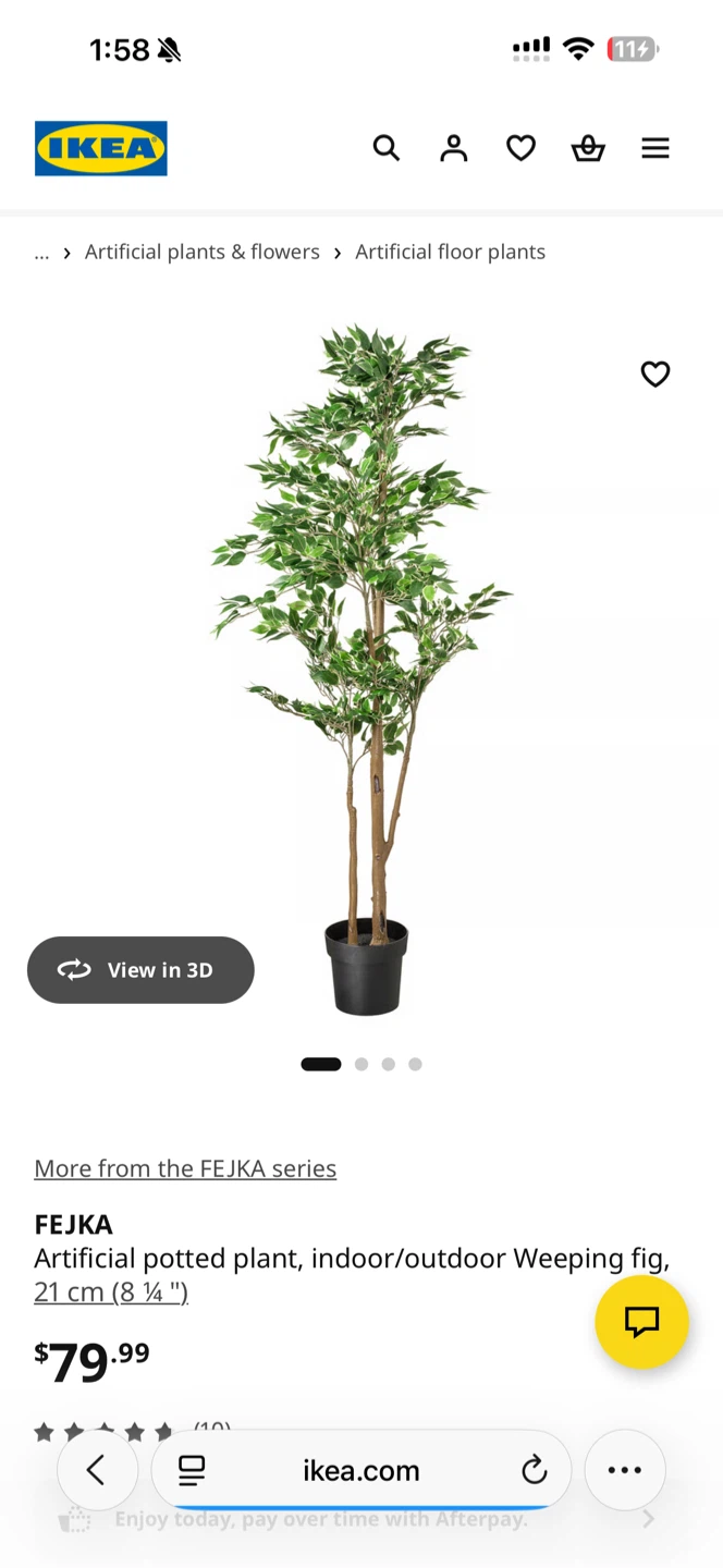 Artificial potted plant, Weeping fig, - photo 2