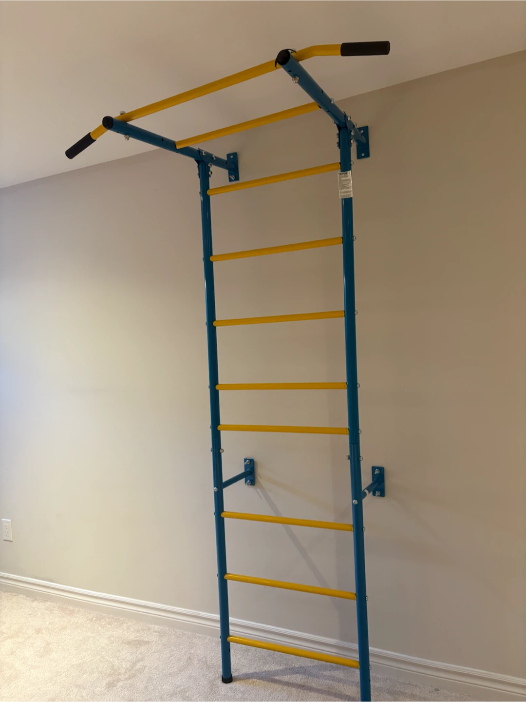 Wall Mounted Pull Up Bar and Ladder