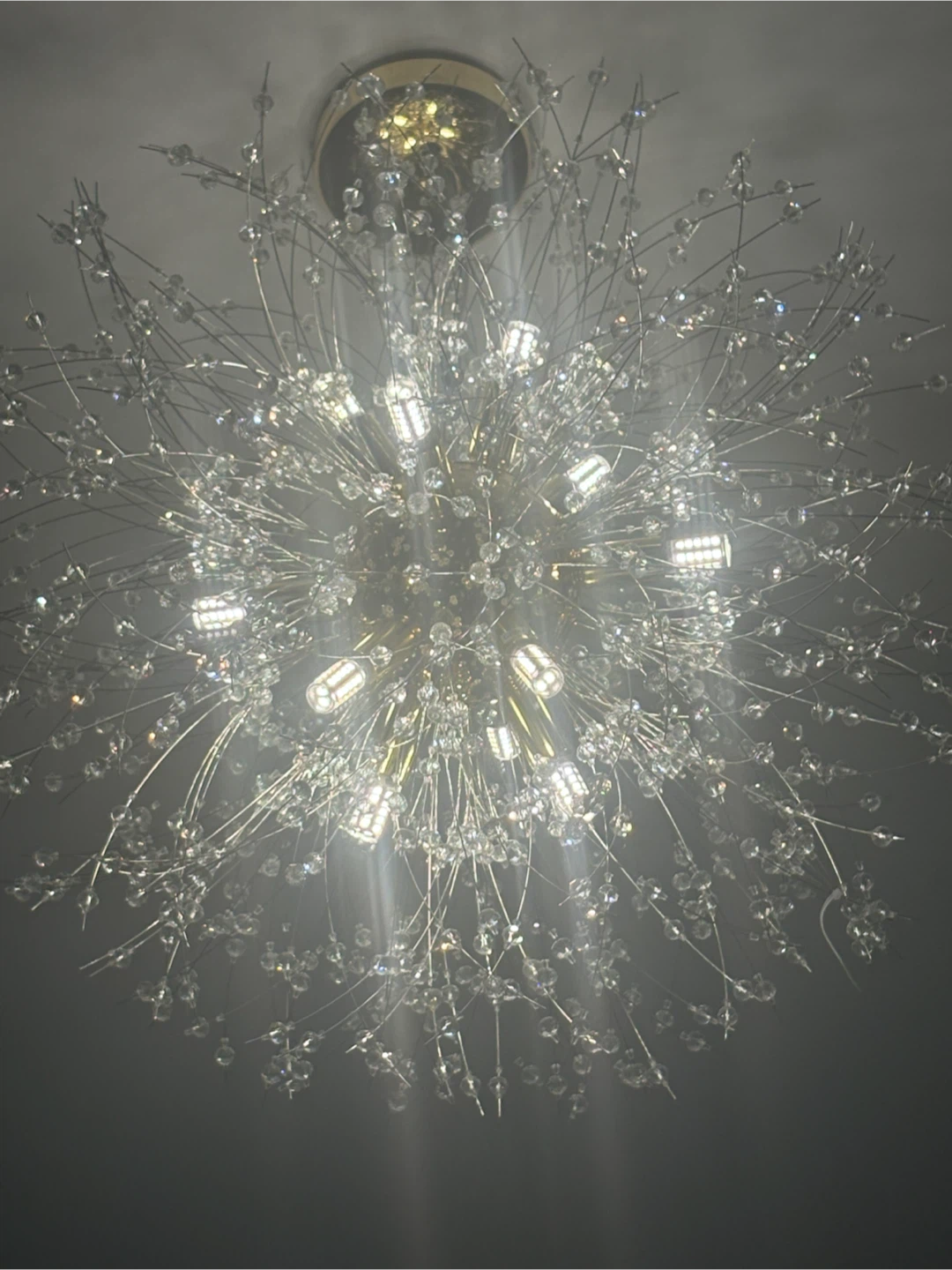 Crystal Chandelier Light Fixture - photo 4