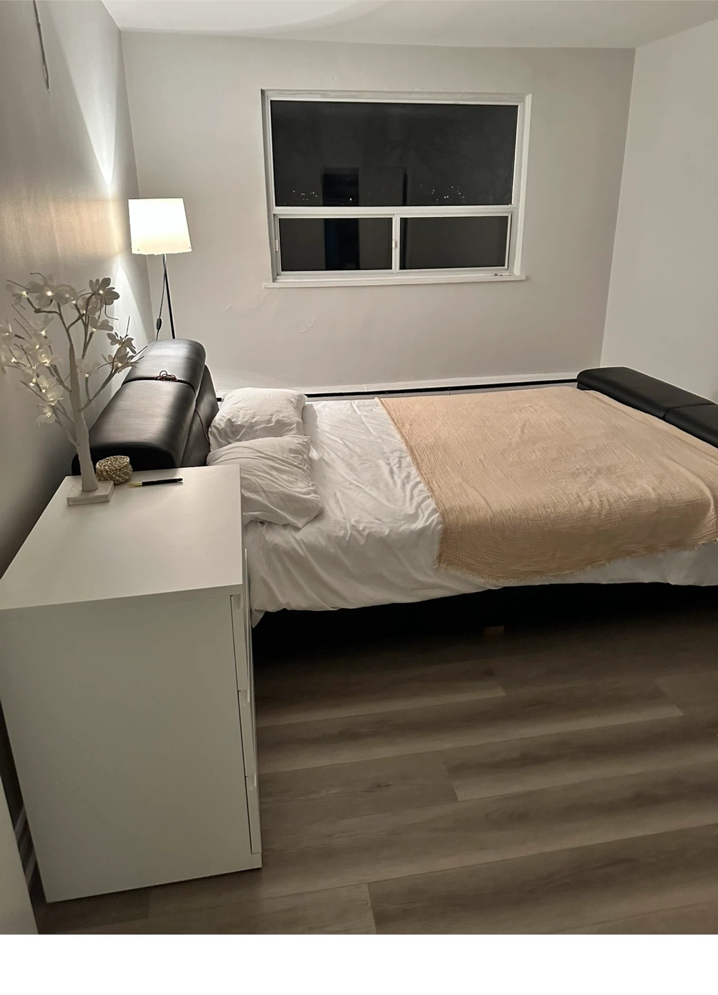Black leather bed frame (queen)