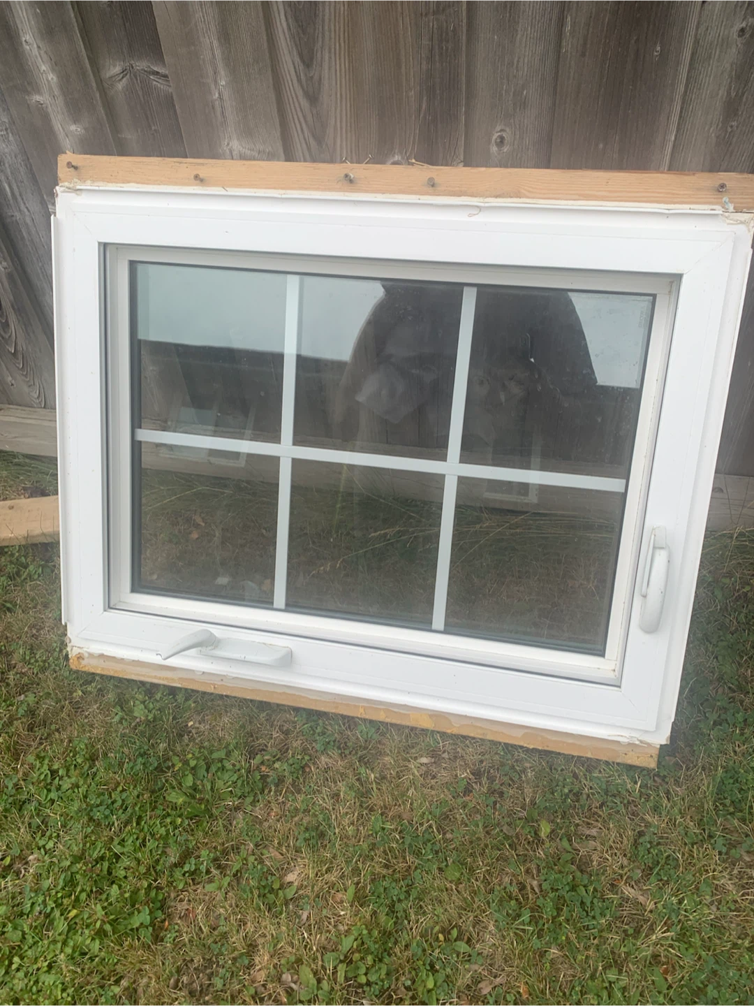 White Windows