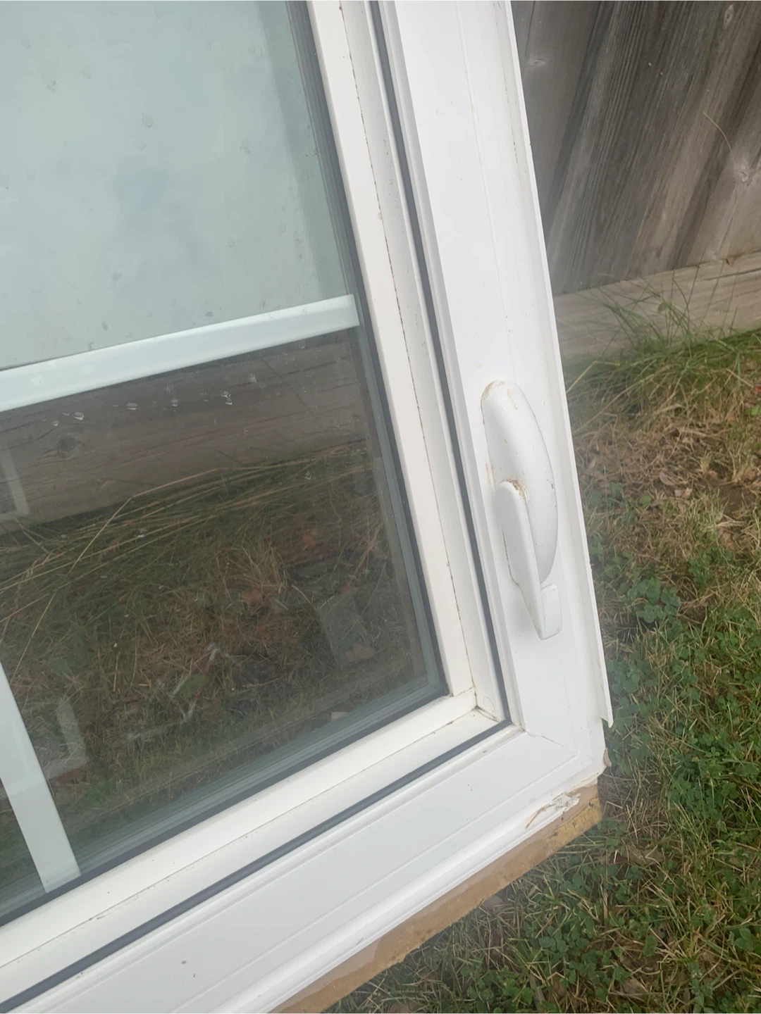 White Windows - photo 3
