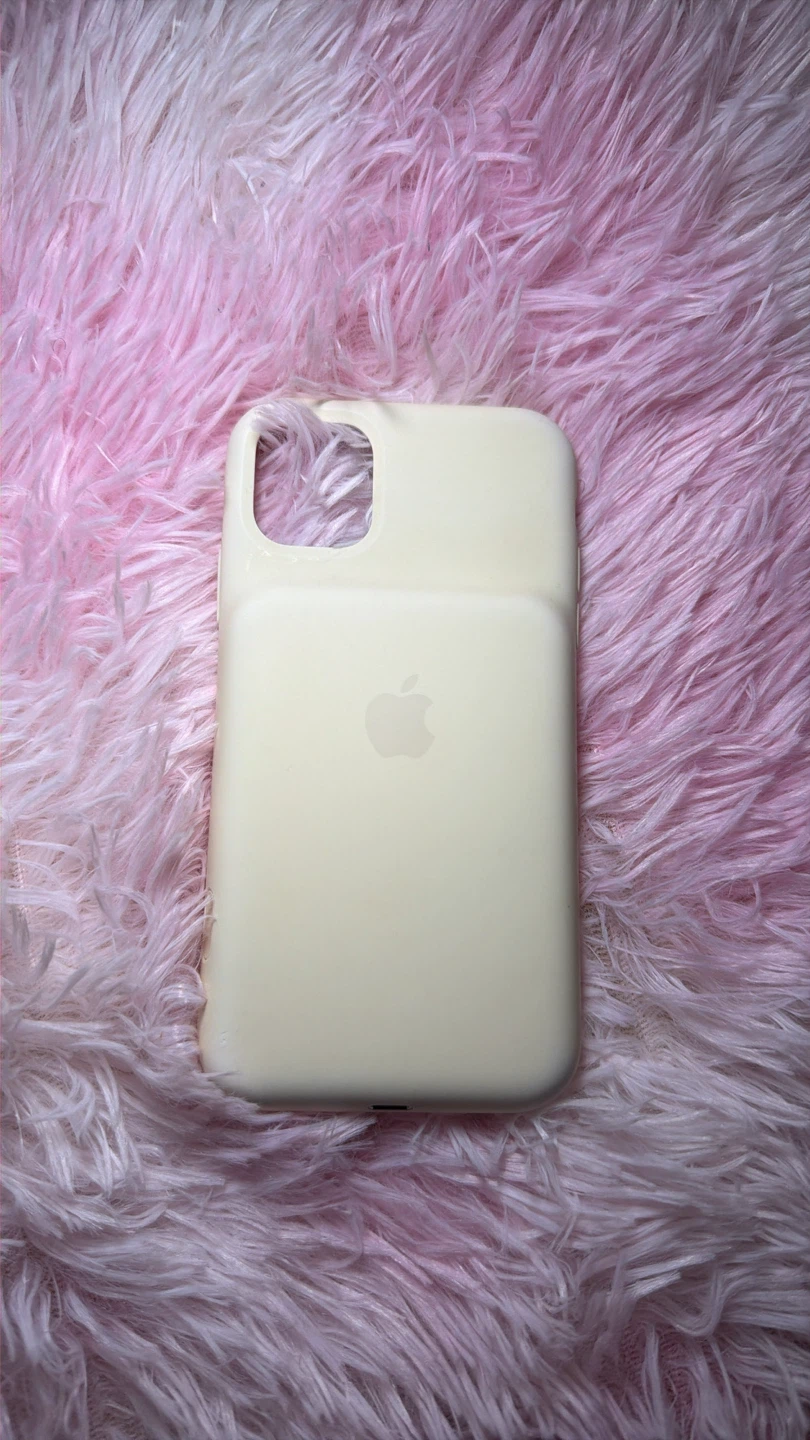 Apple iPhone Battery Case