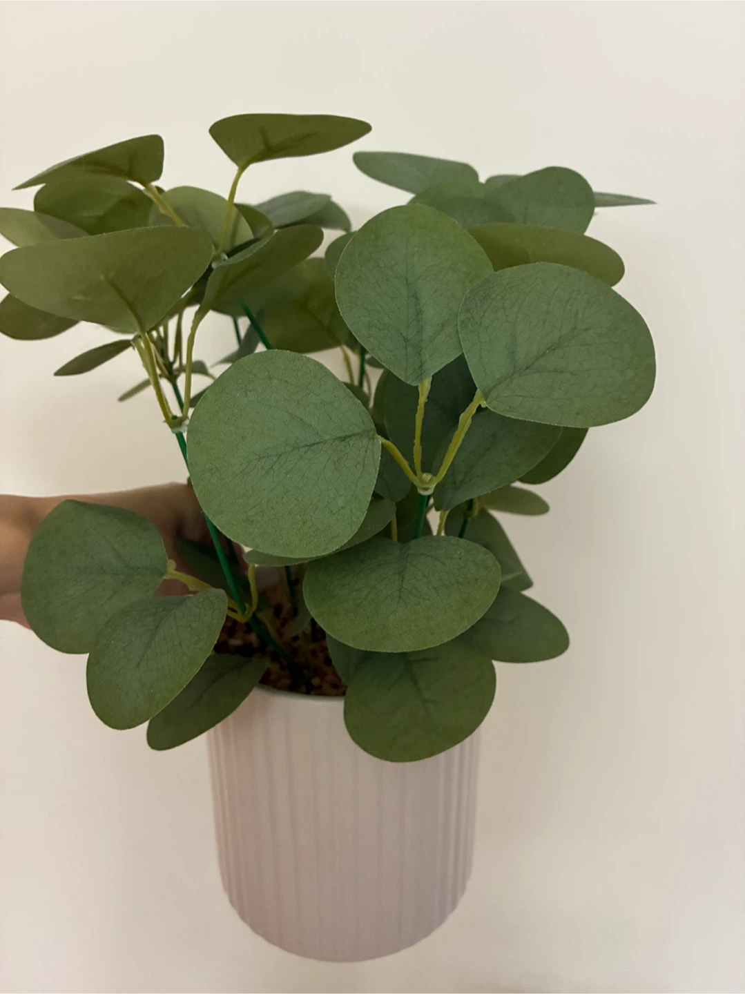 Artificial Plants