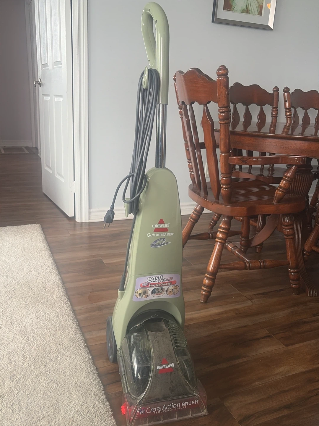 Bissell Quick Steamer Carpet Cleaner