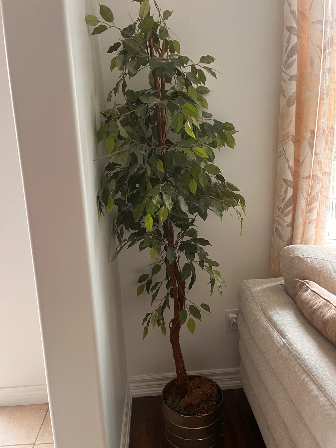 Artificial Ficus Tree in Decorative Pot