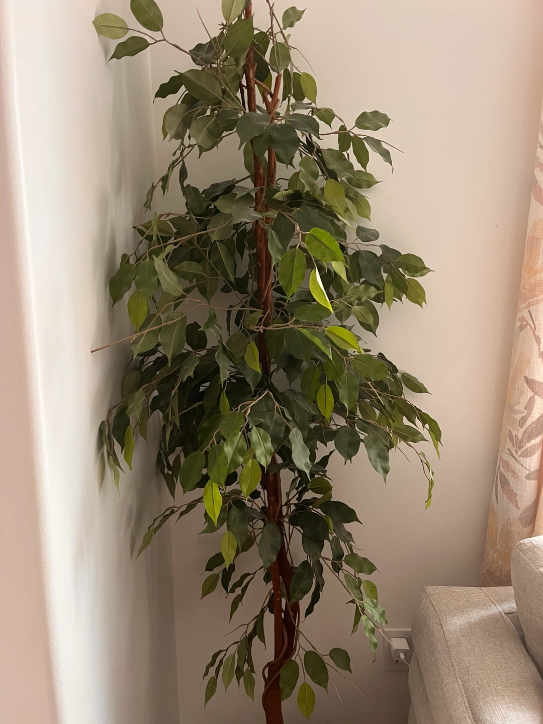Artificial Ficus Tree in Decorative Pot - photo 4