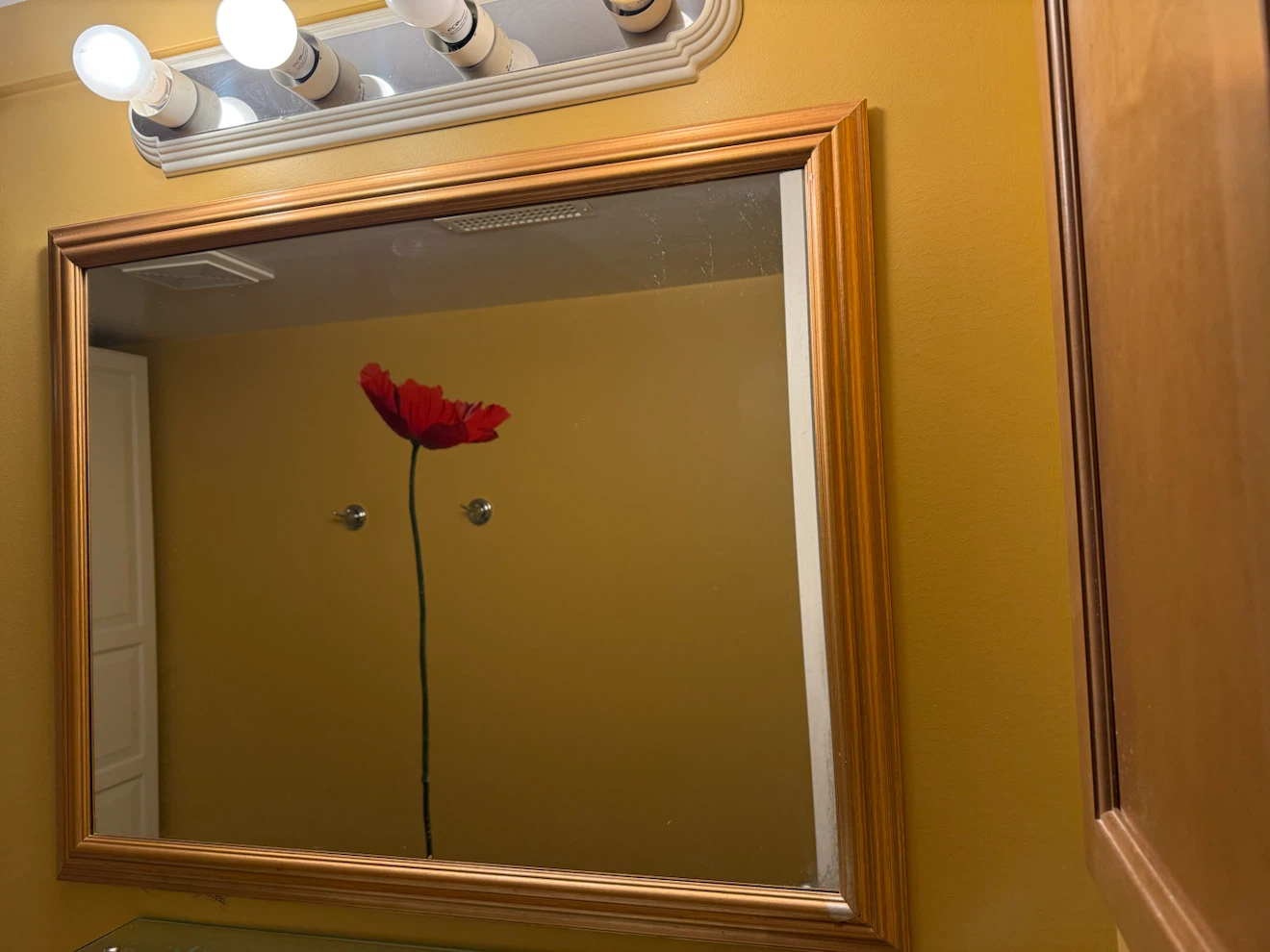 Framed Bathroom Mirror with Wood Frame